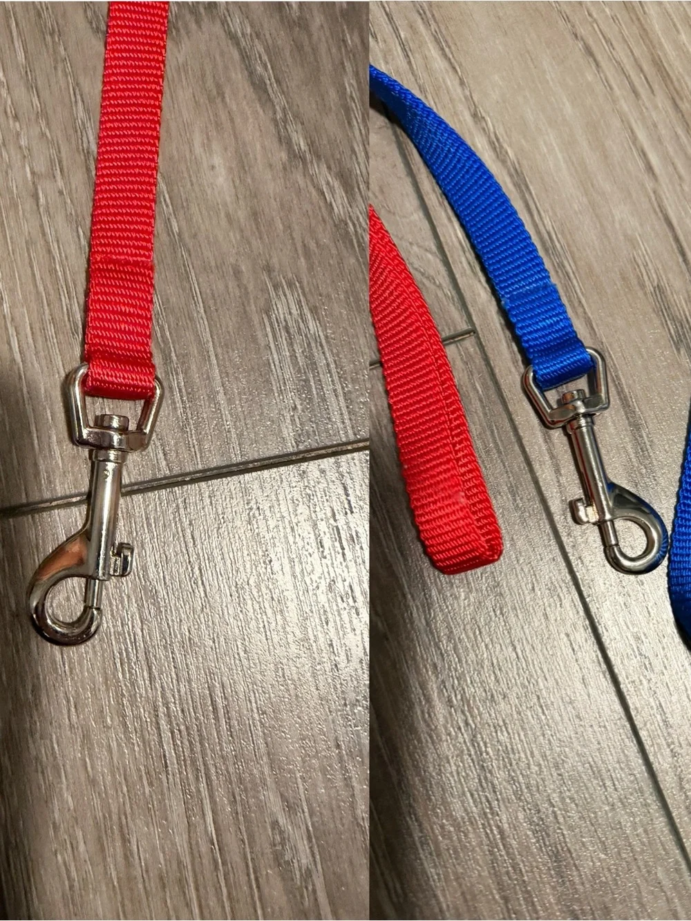 Lot of dog leashes